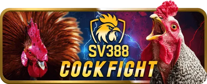 Cá cược thể thao sôi động